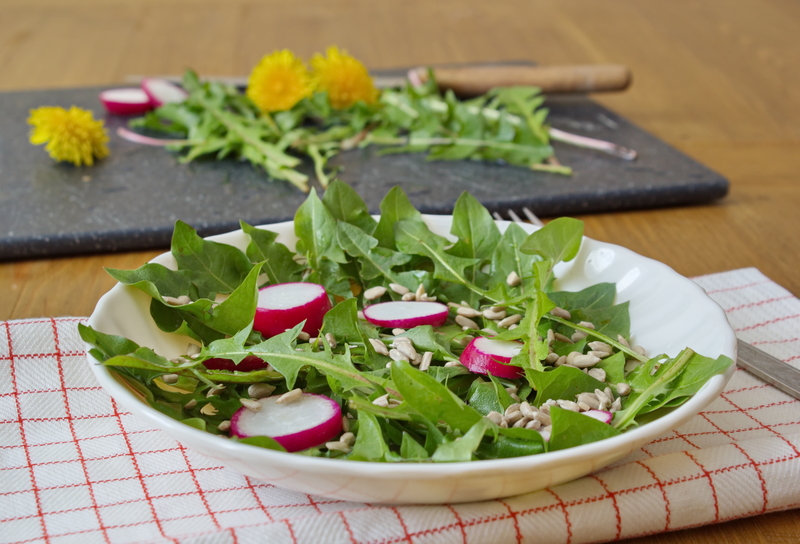 Lawn care lawn maintenance